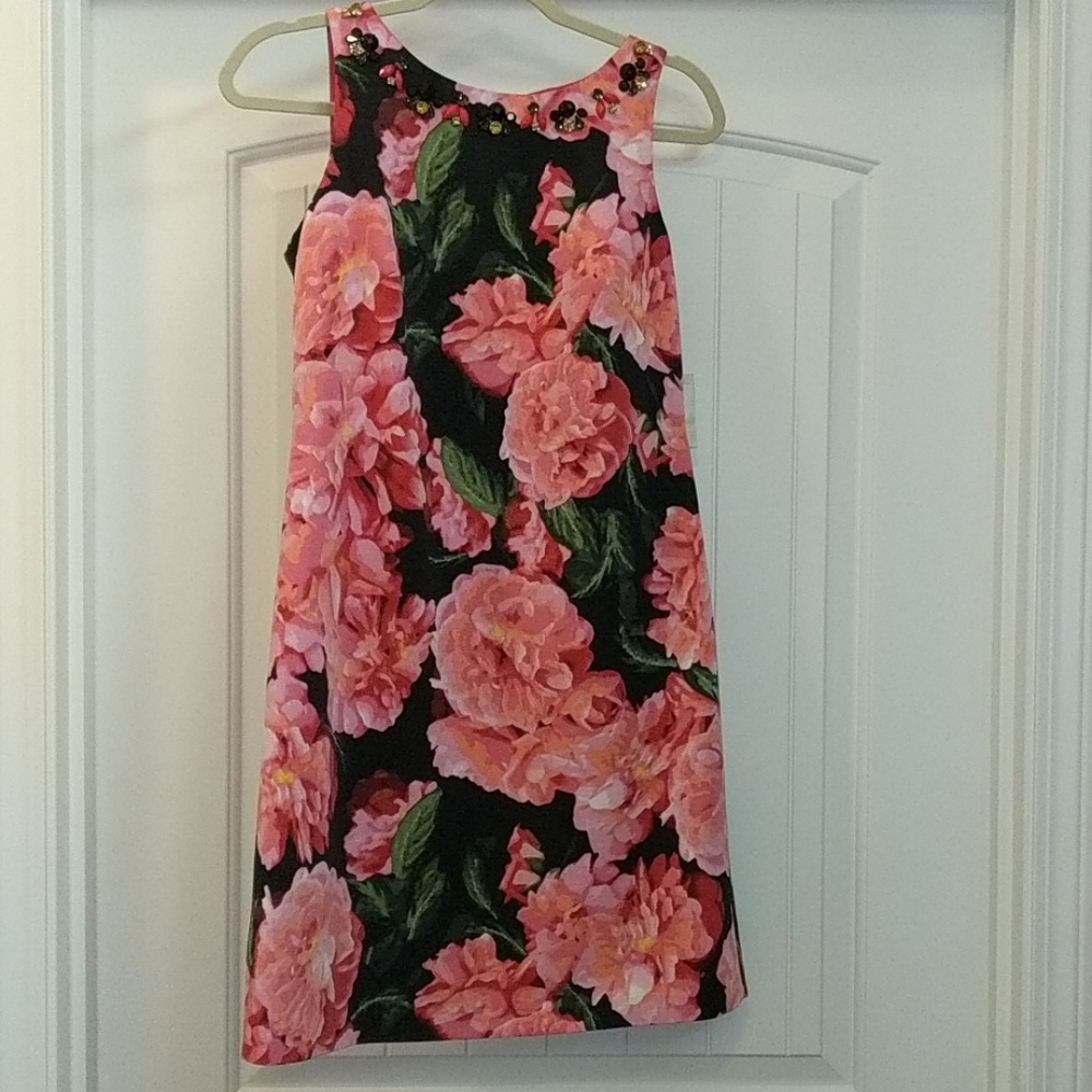 NWT Eliza J pink floral dress, jeweled,open back,6